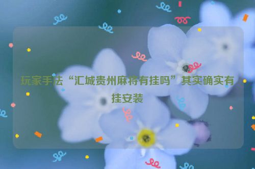 玩家手法“汇城贵州麻将有挂吗”其实确实有挂安装