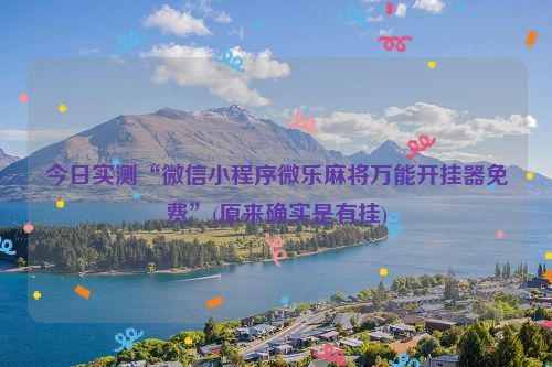 今日实测“微信小程序微乐麻将万能开挂器免费”(原来确实是有挂)