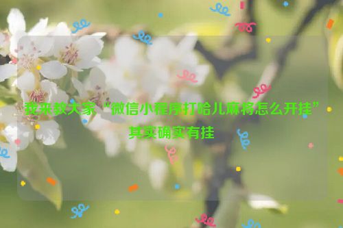 我来教大家“微信小程序打哈儿麻将怎么开挂”其实确实有挂