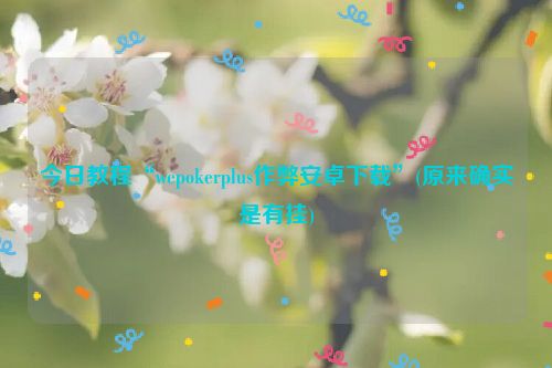 今日教程“wepokerplus作弊安卓下载”(原来确实是有挂)