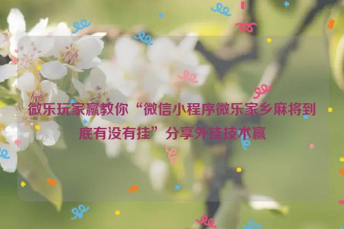 微乐玩家赢教你“微信小程序微乐家乡麻将到底有没有挂”分享外挂技术赢