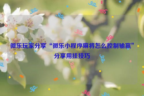 微乐玩家分享“微乐小程序麻将怎么控制输赢”分享用挂技巧