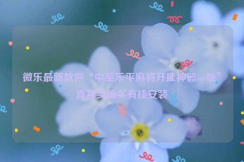 微乐最新教你“中至乐平麻将开挂神器ios版”真其实确实有挂安装