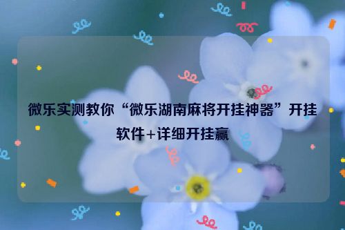 微乐实测教你“微乐湖南麻将开挂神器”开挂软件+详细开挂赢