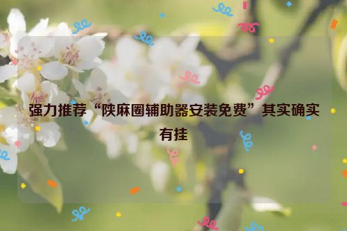 强力推荐“陕麻圈辅助器安装免费”其实确实有挂