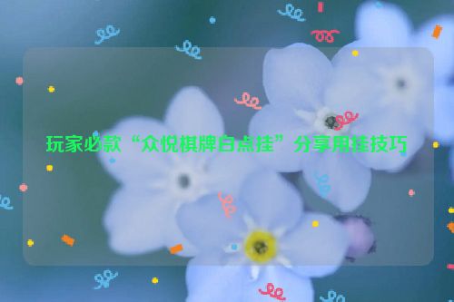 玩家必款“众悦棋牌白点挂”分享用挂技巧