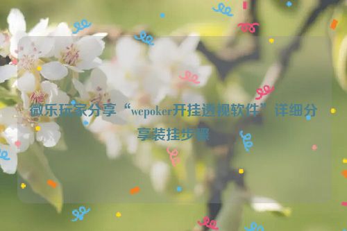 微乐玩家分享“wepoker开挂透视软件”详细分享装挂步骤