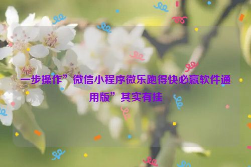 一步操作”微信小程序微乐跑得快必赢软件通用版”其实有挂