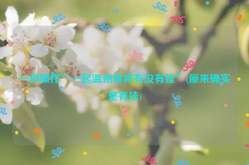 一步操作”一起温州麻将有没有挂”(原来确实是有挂)