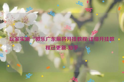玩家实测“微乐广东麻将开挂教程!详细开挂教程已更新-知乎