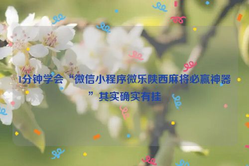 1分钟学会“微信小程序微乐陕西麻将必赢神器”其实确实有挂