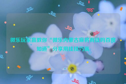 微乐玩家赢教你“微乐内蒙古麻将有挂吗百度知道”分享用挂技巧赢