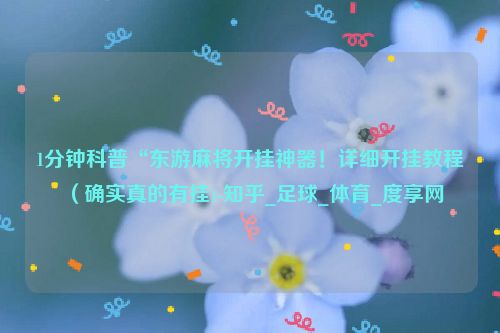 1分钟科普“东游麻将开挂神器！详细开挂教程（确实真的有挂)-知乎_足球_体育_度享网