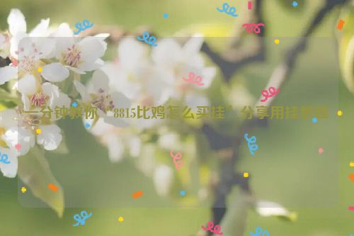 一分钟教你“8815比鸡怎么买挂”分享用挂教程