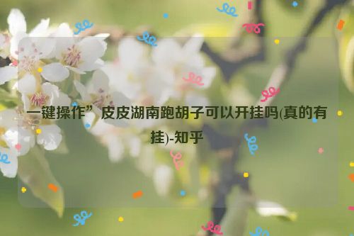 一键操作”皮皮湖南跑胡子可以开挂吗(真的有挂)-知乎