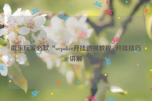 微乐玩家必款“wepoker开挂透视教程- 开挂技巧讲解