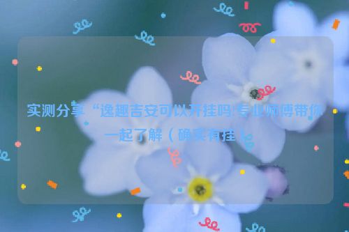 实测分享“逸趣吉安可以开挂吗!专业师傅带你一起了解（确实有挂）