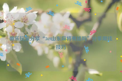 微乐玩家分享“369山东麻将有挂吗”分享用挂技巧