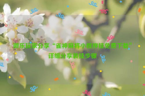 微乐玩家分享“雀神麻将小程序挂免费下载”详细分享装挂步骤
