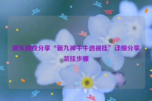 微乐游戏分享“新九神牛牛透视挂”详细分享装挂步骤