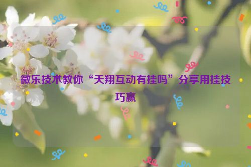 微乐技术教你“天翔互动有挂吗”分享用挂技巧赢