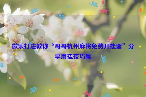 微乐打法教你“哥哥杭州麻将免费开挂器”分享用挂技巧赢