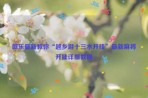 微乐最新教你“越乡游十三水开挂”最新麻将开挂详细教程