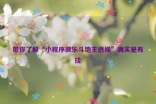 带你了解“小程序微乐斗地主透视”确实是有挂