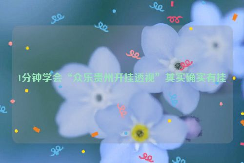 1分钟学会“众乐贵州开挂透视”其实确实有挂