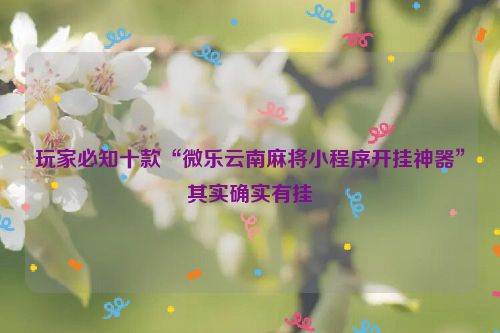 玩家必知十款“微乐云南麻将小程序开挂神器”其实确实有挂