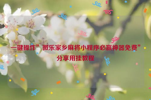 一键操作”微乐家乡麻将小程序必赢神器免费”分享用挂教程
