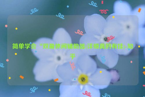 简单学会“双盈休闲辅助器(详细真的有挂)-知乎