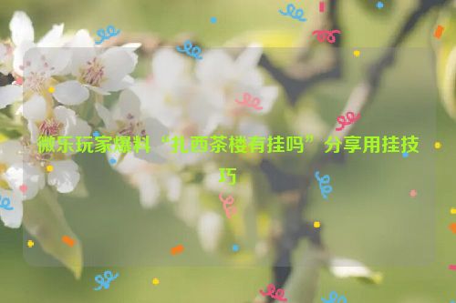 微乐玩家爆料“扎西茶楼有挂吗”分享用挂技巧