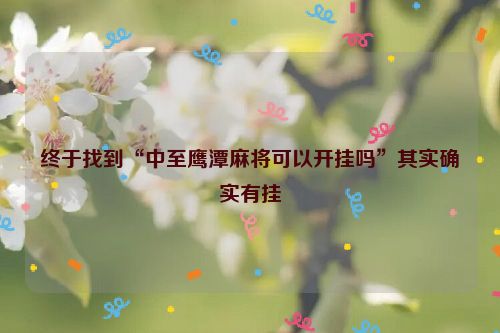终于找到“中至鹰潭麻将可以开挂吗”其实确实有挂