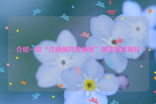 介绍一款“江陵城开挂神器”其实确实有挂