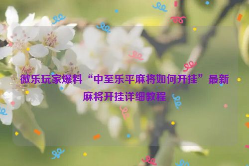 微乐玩家爆料“中至乐平麻将如何开挂”最新麻将开挂详细教程