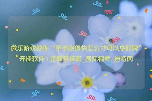 微乐游戏教你“牵手跑得快怎么才可以拿好牌”开挂软件+详细开挂赢_国际视野_迪特网