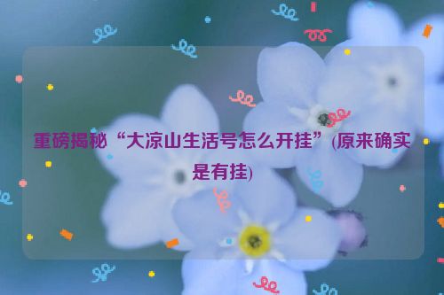 重磅揭秘“大凉山生活号怎么开挂”(原来确实是有挂)