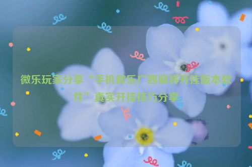 微乐玩家分享“手机微乐广西麻将开挂版本软件”真实开挂技巧分享