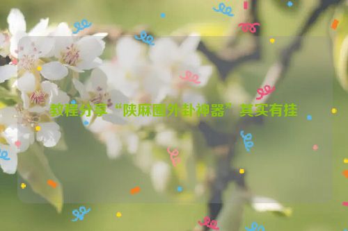 教程分享“陕麻圈外卦神器”其实有挂