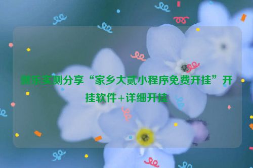 微乐实测分享“家乡大贰小程序免费开挂”开挂软件+详细开挂
