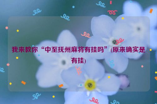我来教你“中至抚州麻将有挂吗”(原来确实是有挂)