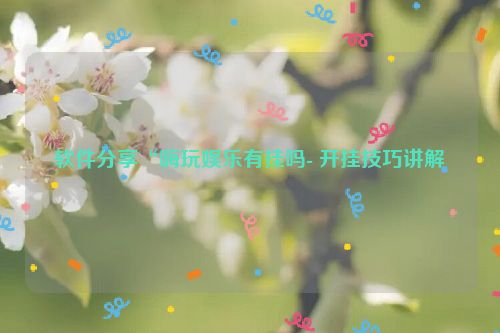 软件分享“嗨玩娱乐有挂吗- 开挂技巧讲解