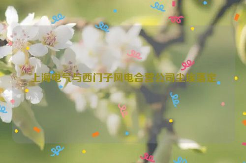 上海电气与西门子风电合营公司尘埃落定