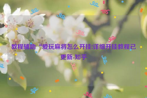 教程辅助“爱玩麻将怎么开挂!详细开挂教程已更新-知乎
