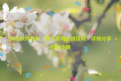 微乐软件教你“新九游有透视挂吗”详细分享装挂步骤