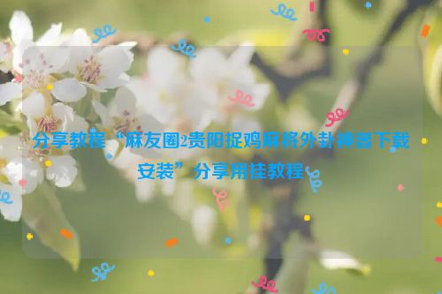 分享教程“麻友圈2贵阳捉鸡麻将外卦神器下载安装”分享用挂教程