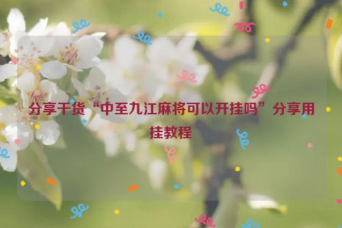 分享干货“中至九江麻将可以开挂吗”分享用挂教程