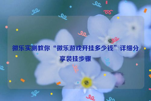 微乐实测教你“微乐游戏开挂多少钱”详细分享装挂步骤