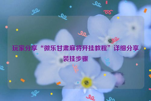 玩家分享“微乐甘肃麻将开挂教程”详细分享装挂步骤